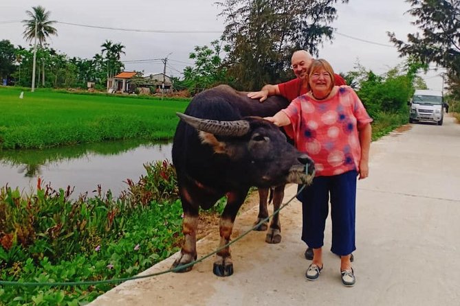 Hoi An Countryside Tour with Bamboo Basket Boat Rowing , Buffalo Ride, Farming - Getting Out of Hoi An’s City Noise (Pickup at 8:30 or 2:00)