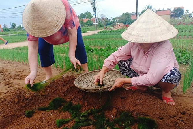 Hoi An Countryside Tour with Bamboo Basket Boat Rowing , Buffalo Ride, Farming - Private Tour Timing and What the 4–5 Hours Really Feels Like