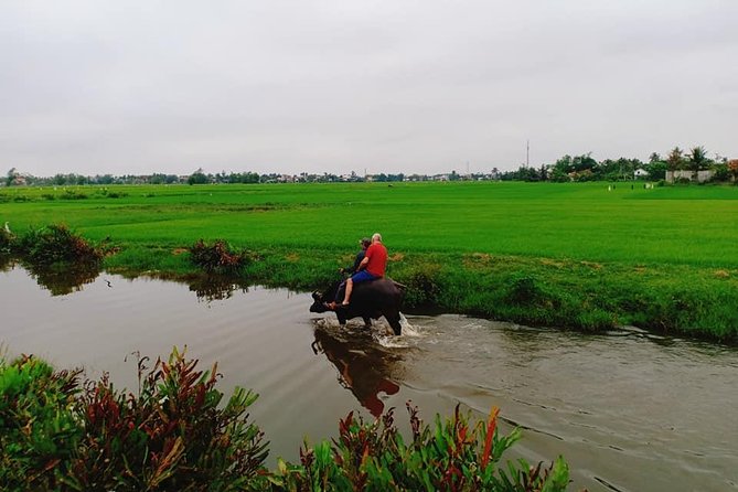 Hoi An Countryside Tour with Bamboo Basket Boat Rowing , Buffalo Ride, Farming - Price and Value: What Your $76.42 Covers (and What It Doesn’t)