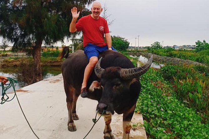 Hoi An Countryside Tour with Bamboo Basket Boat Rowing , Buffalo Ride, Farming - Tra Que Vegetable Village: Seaweed Fertilizer and Traditional Watering