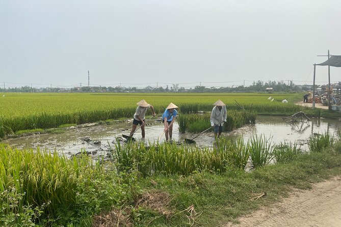 Hoi An Countryside Vespa Tour: Food, Culture & Daily Life - What the craft stops teach you about Hoi An life