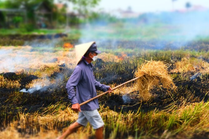 Hoi An Countryside Vespa Tour: Food, Culture & Daily Life - Food first, not last: why the home-cooked element matters