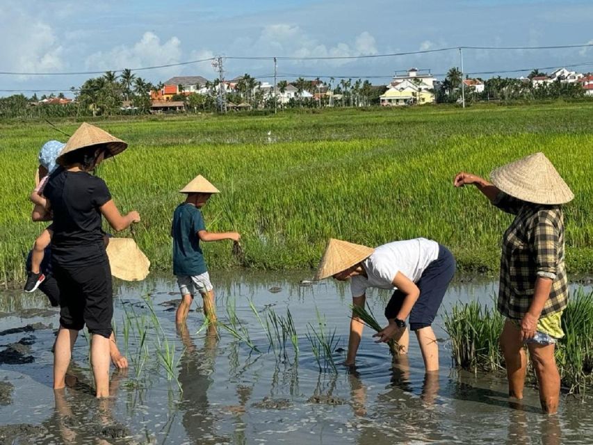 Hoi An:Cycling,Traditional Farming & Fishing Life Experience - Cẩm Thanh and the water-palm world: calm waterways with wartime context