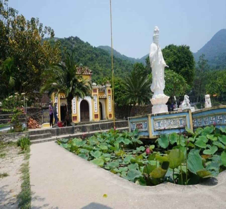 Hoi An/Da Nang: Cham Island Daily Tour with Snorkeling - Champa Ancient Well and Hai Tang Pagoda: What to look for on the slow stops