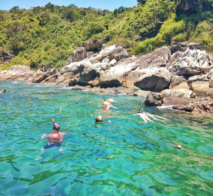 Hoi An/Da Nang: Cham Island Daily Tour with Snorkeling - Lunch on Cham Island: The meal break is part of the value