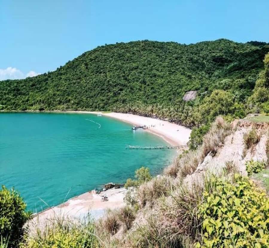 Hoi An/Da Nang: Cham Island Daily Tour with Snorkeling - Bãi Làng and the Cham Island Biosphere Reserve: Learning while you walk