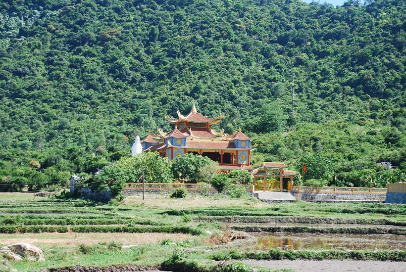 Hoi An/ Da Nang: Cham Island Discovery Tour - Key things to know before you go