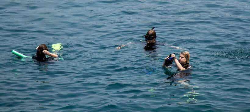 Hoi An/ Da Nang: Cham Island Discovery Tour - The island free time: where to slow down