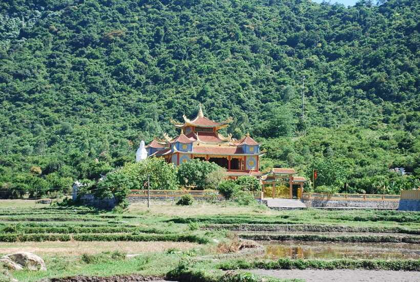 Hoi An/ Da Nang: Cham Island Discovery Tour - Should you book this Cham Island Discovery Tour?