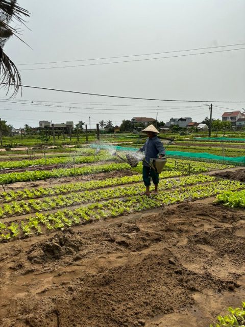 Hoi An Eco Bicycle Tour and Basket Boat Ride - Small practical considerations before you go