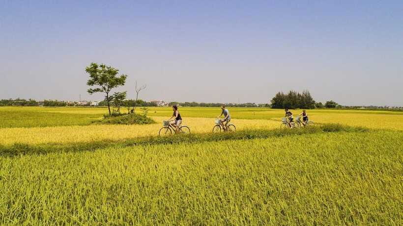 Hoi An : Eco Bicycle Tour with Fishing and Lunch/Dinner - The coconut palm basket boat ride: fun, scenic, and a little chaotic (in a good way)