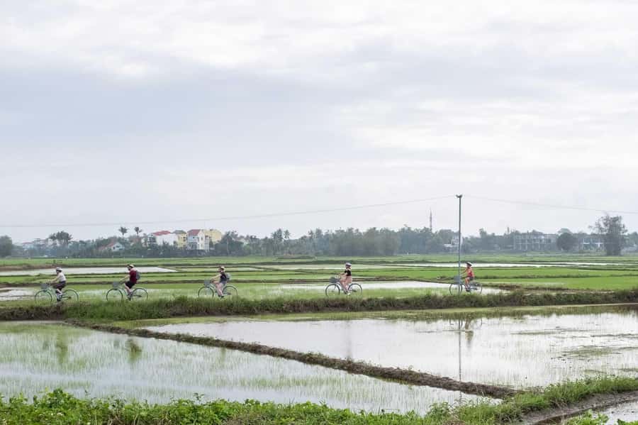 Hoi An : Eco Bicycle Tour with Fishing and Lunch/Dinner - Should you book this Hoi An eco bike-and-fishing tour?