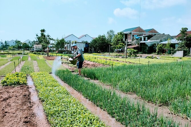 Hoi An Eco-Biking Tour - Who this eco-biking tour suits best