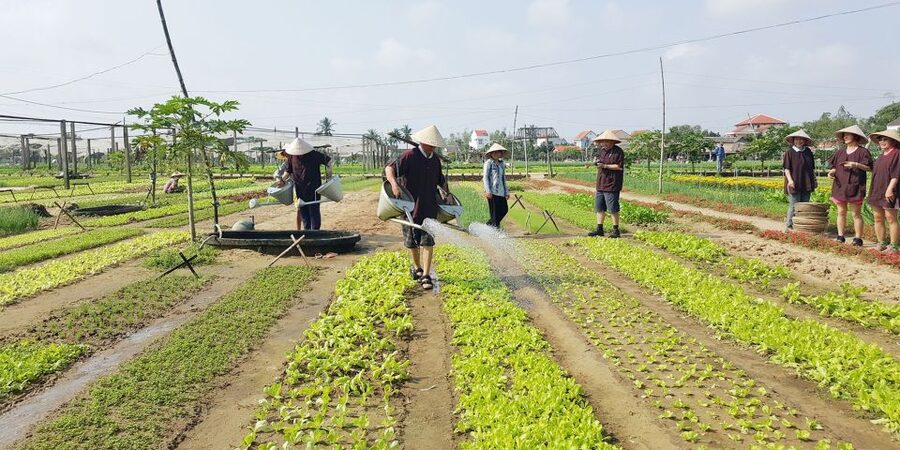 Hoi An: Evening Cooking Class with Locals in Herbs Village - Step Three: Cooking at Your Station (and Actually Getting Through)