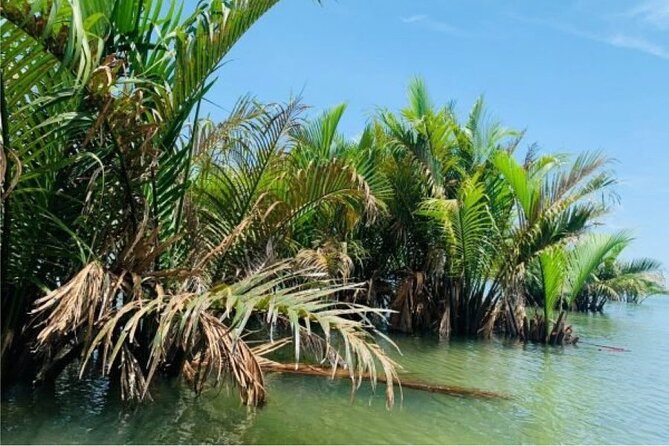 Hoi An Farming And Fishing Life - Cam Chau Water Buffalo Ride: Rice Fields and a Quick Reality Check
