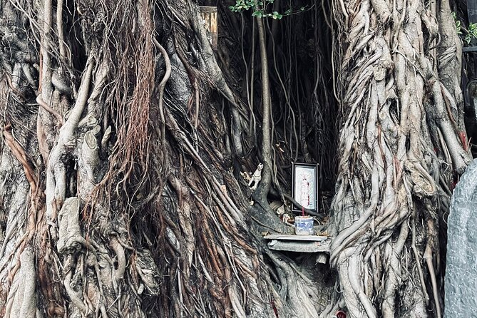 Hoi An Ghosts, Death, Mystery Unveiled - War-era abandonment and the oldest house in old town