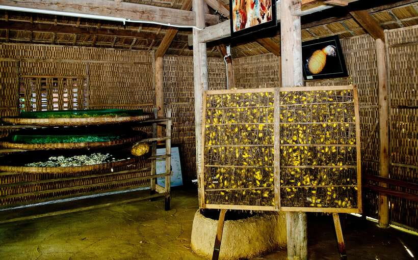 Hoi An: Half-day Silk Weaving Discovery Tour - Price and Value: Is $55 a Good Deal?