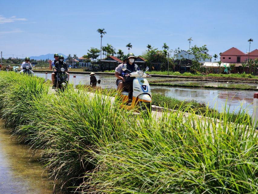 Hoi An Highlights and Hidden Gems Tour by Vespa - An My village coffee stop and working-farmer views
