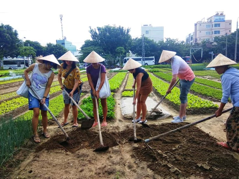 Hoi An: Jolie Cooking Class - Key things I’d circle before you book Jolie Cooking Class