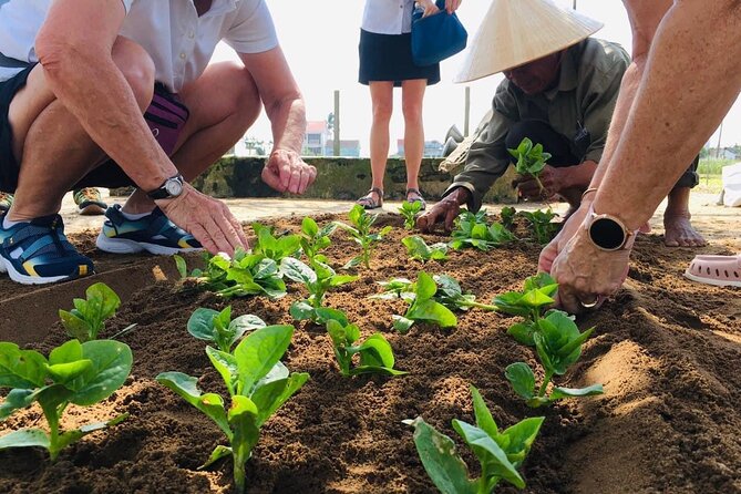 Hoi An Local Market and Vegetable Village Cooking Class - First Stop: Hoi An Market and Herb School
