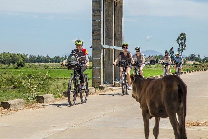 Hoi An Morning Countryside Tour by Bike - Key highlights worth your morning