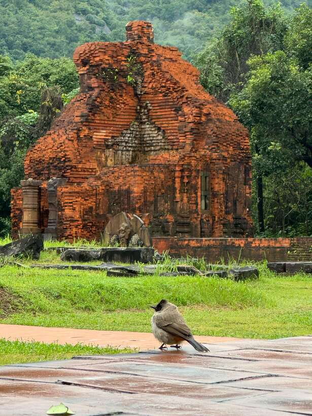Hoi An: My Son Sanctuary Private Tour with Local Guide - Pickup in Hoi An: the easiest way to make a short trip feel complete