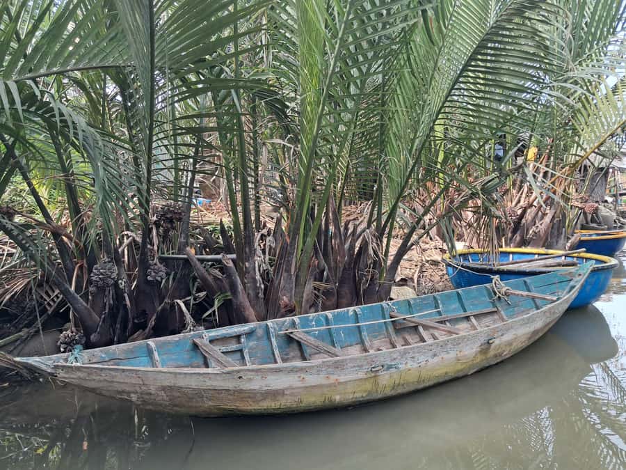Hoi An: My Son Sanctuary with Basket Boat and Lunch Options - Bay Mau Bamboo Basket Boat: Mangroves, Coconut Canals, and Local Games