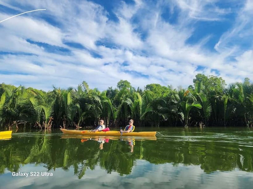 Hoi An: Old Town to Mangrove Forest Kayak Tour - The Cam Thanh Shift: Mangroves, Coco Palm Uses, and Nipa Palms
