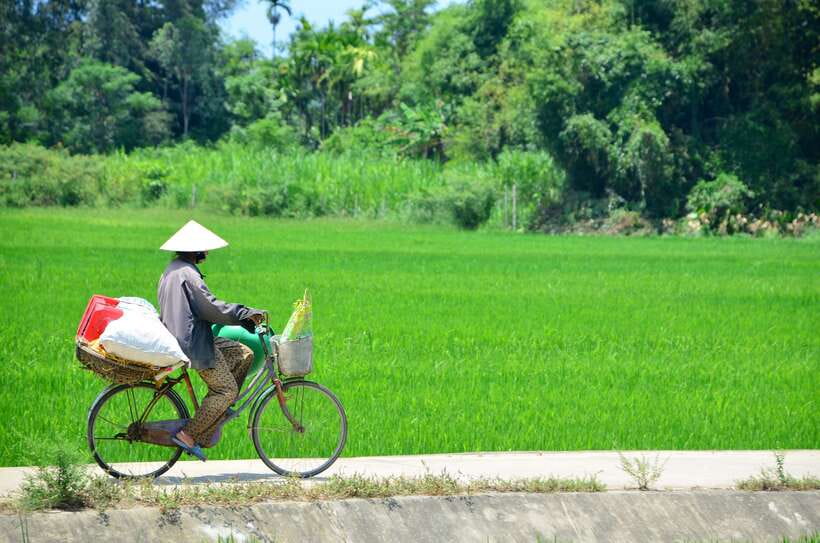 Hoi An: Private Cycling to My Son Sanctuary with Local Guide - Hoi An Ancient Town: side streets first, historic focus second