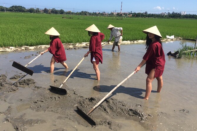 Hoi An Rice Farm Tour and Buffalo Riding with Local Home Meal - Key points to know before you go