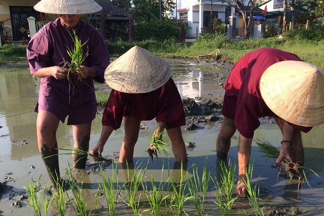 Hoi An Rice Farm Tour and Buffalo Riding with Local Home Meal - The Route: Old Town Cycling Without the City-Worry Feeling