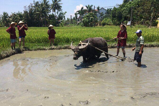 Hoi An Rice Farm Tour and Buffalo Riding with Local Home Meal - What to Pack (So the Mud Doesn’t Win)