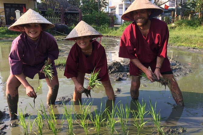 Hoi An Rice Farm Tour and Buffalo Riding with Local Home Meal - Who Should Book This Tour (and Who Might Skip It)
