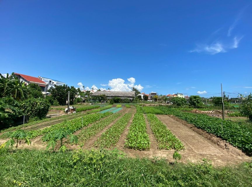 Hoi An: Rural Cycling Tour to Village with Basket Boat Ride - Start here: 77 Tran Phu meeting point and what to bring
