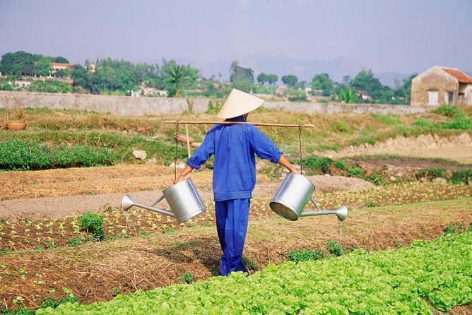 Hoi An Rural VillageTour_ Hidden Gem - Key highlights