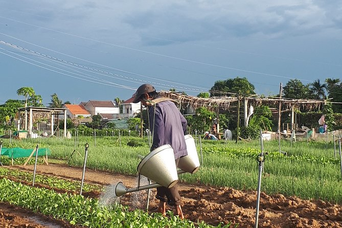 Hoi An sunrise, fish market tour and taking photos( Private tour) - Coffee and breakfast at Mate: the perfect end to a very early start