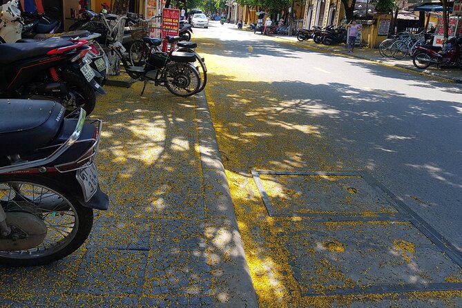 Hoi An town private walking tour with boat trip - The Hoai River boat ride: your view changes in 20 minutes