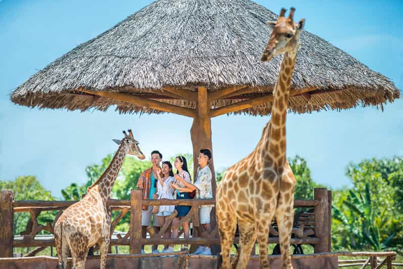 Hoi An: Vinwonders Nam Hoi An Theme Park Entry Ticket - Adventure Land: Swiss Tower Thrills, Family Rides, and the Musical Fountain