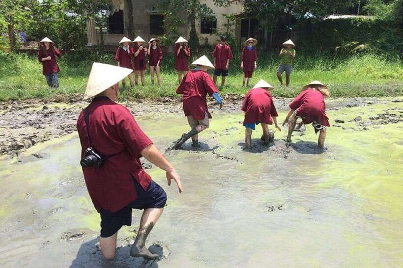 Hoi An Wet Rice Farming Tour-Basket Boat Tour Fishing-Lunch - Wet Rice Farming: From Tools to Mud-Real Planting