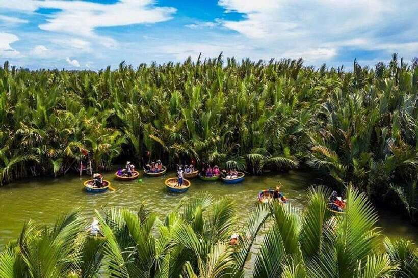 Hoi An Wet Rice Farming Tour-Basket Boat Tour Fishing-Lunch - Spotting Live Fish Under Baby Rice Plants