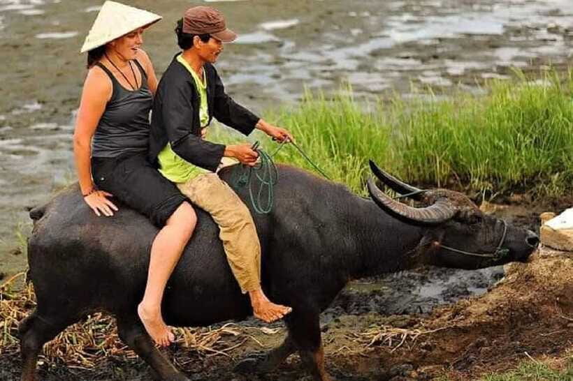 Hoi An Wet Rice Farming Tour-Basket Boat Tour Fishing-Lunch - Lunch: Local Noodles, Not a Random Sandwich
