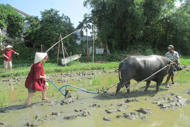Hoi An Wet Rice Farming Tour Private Round Boat Fishing & Lunch - Buffalo Riding: Great, But Plan for Short Time