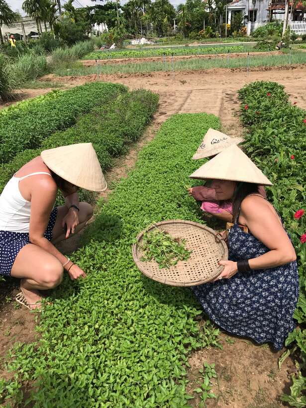 Hoian/Da Nang: Fishing, basket riding and cooking class - Hoi An market: choosing lunch ingredients and learning to bargain