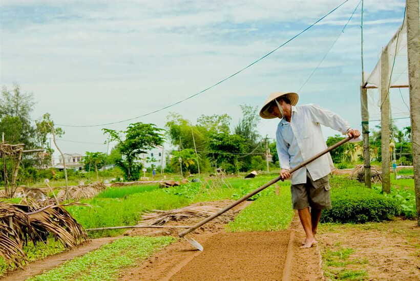 Hoian/Da Nang: Fishing, basket riding and cooking class - Lunch by the river: why cooking yourself tastes better