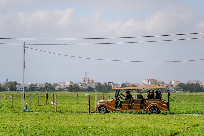 HoiAnGO Experience Local Life: Countryside by Electric Car - Rice fields and gardening: how a countryside day becomes personal