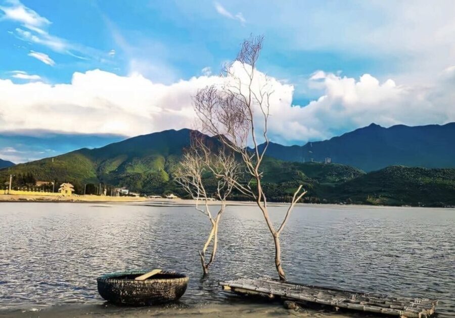 Hue City Tour Full Day - Depart from Da Nang / Hoi An - Imperial Citadel: walking through Nguyen power and private life