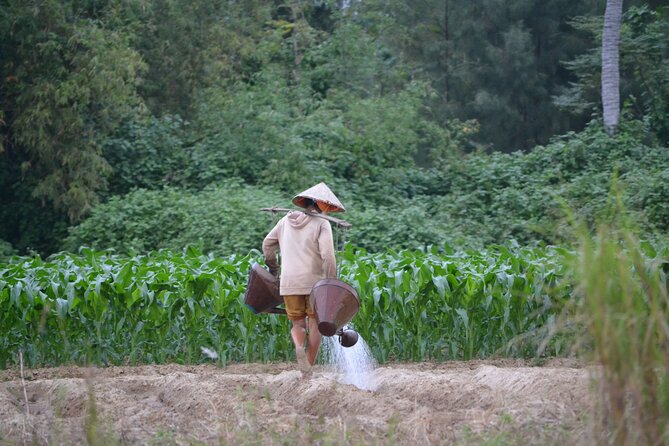 Mountain Bike Riding from Hoi An - What the timing feels like: 5 hours, 30–50 km, and a banh mi break