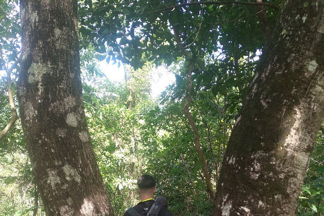 My Son sanctuary and mountain trekking - Breakfast, Coffee, and Barbecue by the Stream