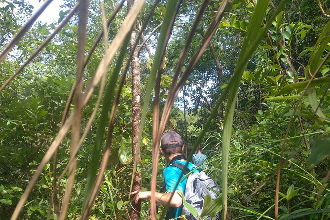 My Son sanctuary and mountain trekking - What You Actually Get for $59: Value in the Details