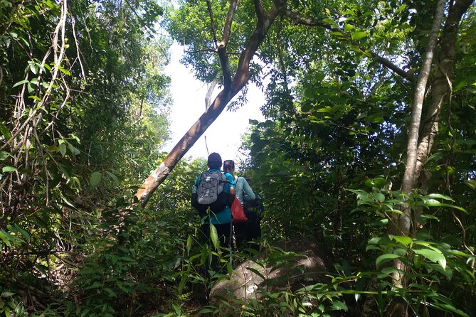 My Son sanctuary and mountain trekking - Who This Tour Fits Best (and Who Should Skip It)